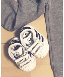 adidas | スニーカー