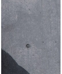 WEGO | Tシャツ/カットソー