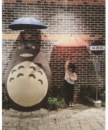 🐱🐱 | その他