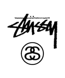STUSSY | サングラス(サングラス)