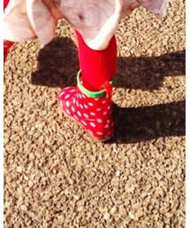 Birthday | レインシューズ