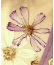 道ばた | その他