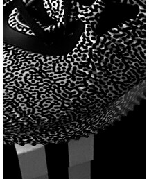 adidas | スニーカー