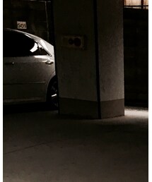 minority | シャツ/ブラウス