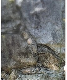 THRASHER | ハット