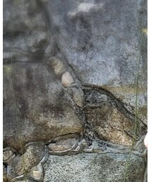 MARCELO BURLON | Tシャツ/カットソー