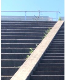 A.D.S.R. | サングラス