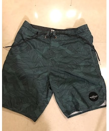 Quiksilver | 椰子の葉柄がお気に入り(水着)