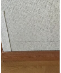 DAISO | ソックス/靴下