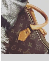 LOUIS VUITTON | ハンドバッグ