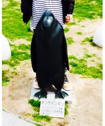 キングペンギン | その他