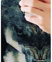 MARCELO BURLON | Tシャツ/カットソー