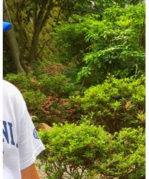 カリフォルニア工務店 | Tシャツ/カットソー