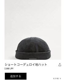 ZARA | (帽子)