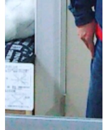 お洒落になりたい | その他