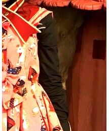 Angelic Pretty | シャツ/ブラウス