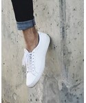 LACOSTE | (Sneakers)