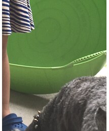 crocs | サンダル