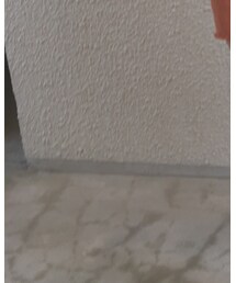 Mini Rodini | レギンス/スパッツ