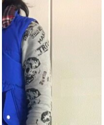 COMME des GARCONS HOMME | ダウンベスト