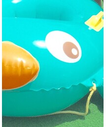 ペリー | スイムグッズ