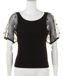 LILY BROWN | レーススリーブカットソー(Tシャツ/カットソー)