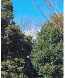 アンドクチュール | ワンピース