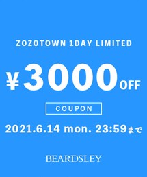 ✨本日限定クーポン配布中✨ | その他