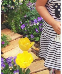 H&M | ワンピース