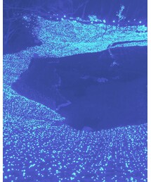 ネスタリゾート神戸 | その他