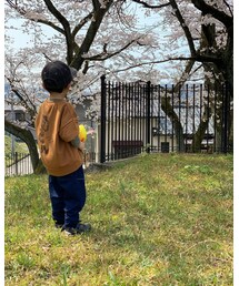 家の前の桜 | ラッピングキット