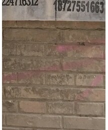 VINTAGE | ワンピース/ドレス