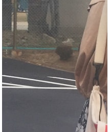 GU | ニット/セーター