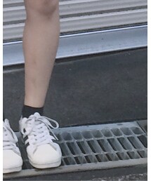 adidas | ソックス/靴下