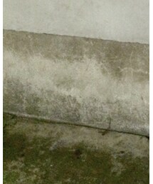 靴下屋 | ソックス/靴下