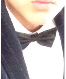 蝶ネクタイ | 蝶ネクタイ