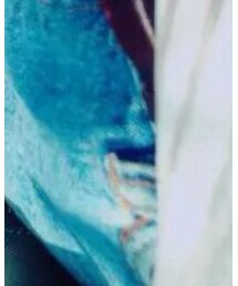 Patavinity | Tシャツ/カットソー