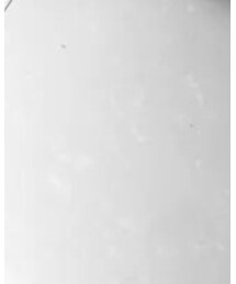 STACCATO | パンプス