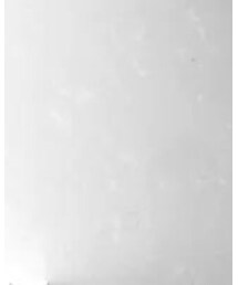 MANGO | スカート