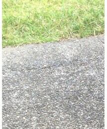 無印良品 | Tシャツ/カットソー