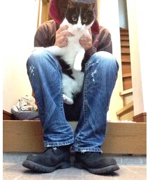 お宝けいこにゃん | その他