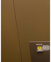マスクはピカチュウ🌟 | その他