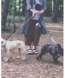 イオグラフィック | Tシャツ/カットソー