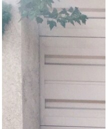 カムロ | メガネ