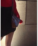 FENDI(フェンディ)の「シューズ(シューケア用品)」