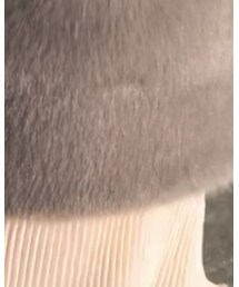 UNIQLO | ジャケット/アウター