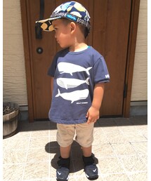 HELLY HANSEN | Tシャツ/カットソー