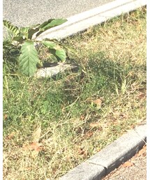 SENSE OF PLACE by URBAN RESEARCH | ブルゾン