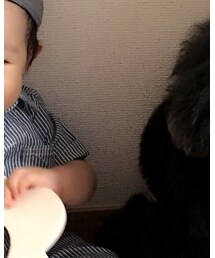 babyGAP | つなぎ/オールインワン