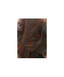 チチカカのハッピートレード | ポンチョ